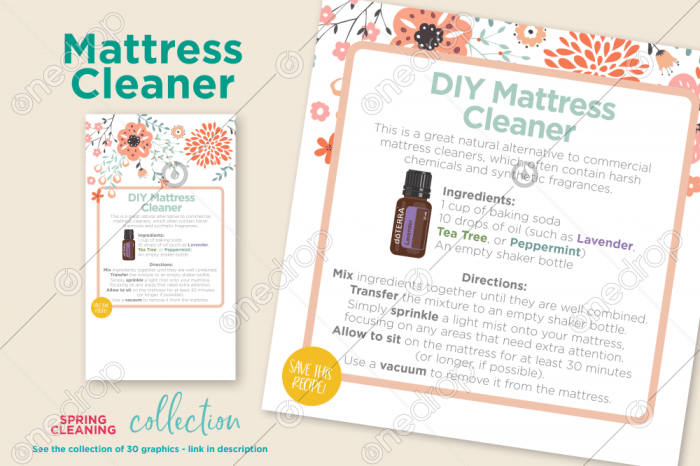 Diy mattress cleaner