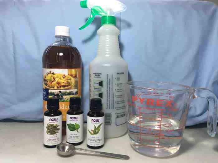 Diy horse fly spray