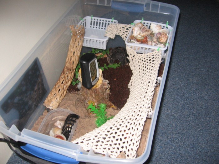 Diy hermit crab cage