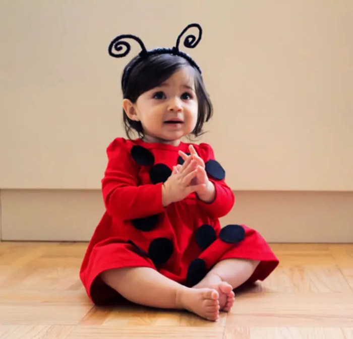 Diy ladybug costume