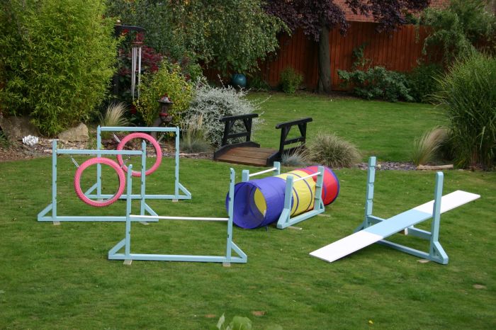 Diy dog obstacle course