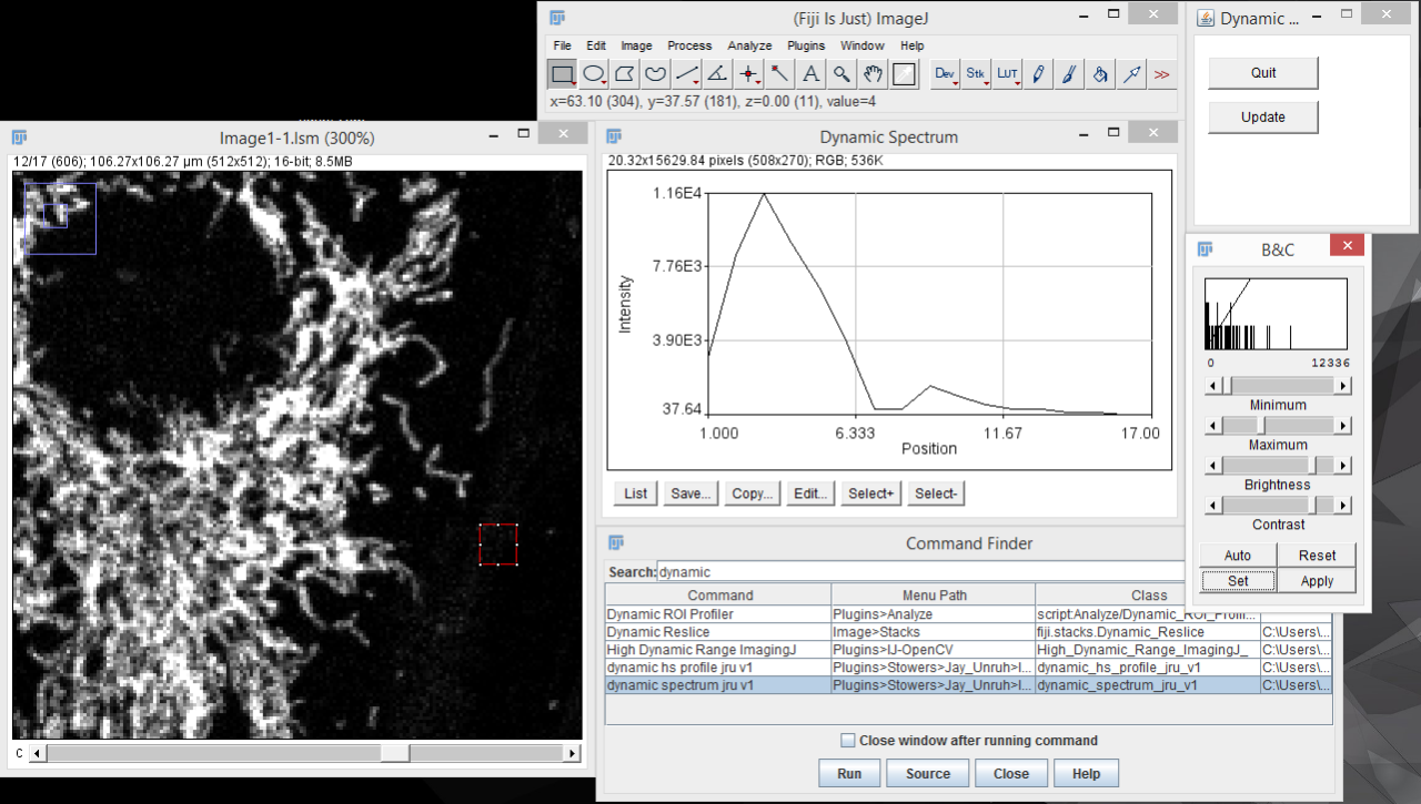 Fiji imagej