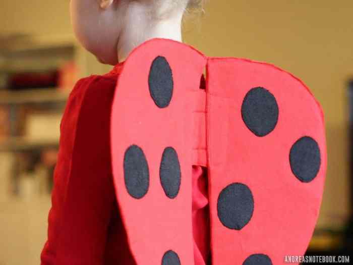 Diy ladybug costume