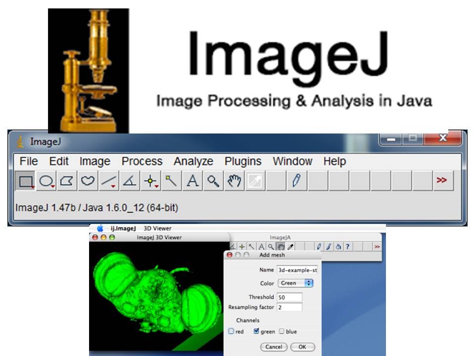 Fiji imagej