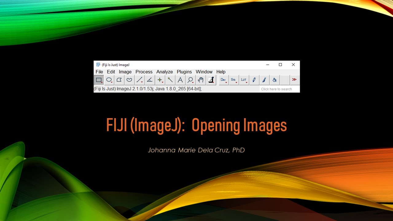 Imagej fiji